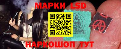 a pvp Ставрополь